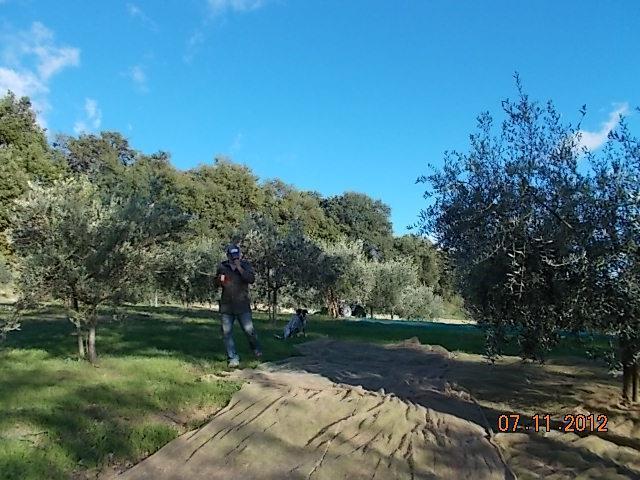 Agriturismo Le Vergare Offagna 외부 사진