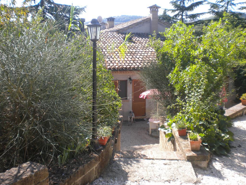 Agriturismo Le Vergare Offagna 외부 사진